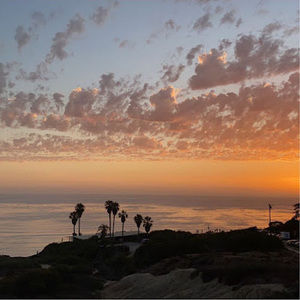 Meet your Posher, Carmen